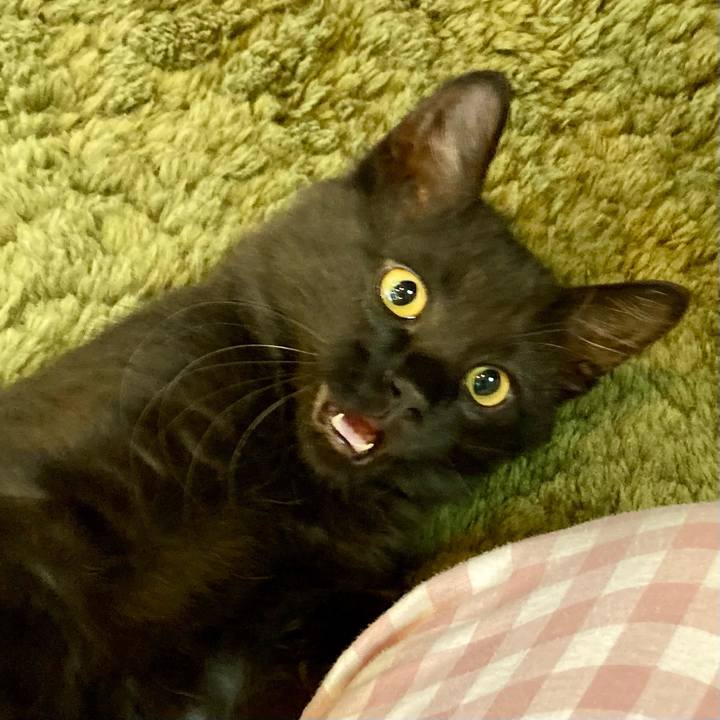 E5c6970b fc00 4b99 9d2d f0a52b163a7e 1703845753410