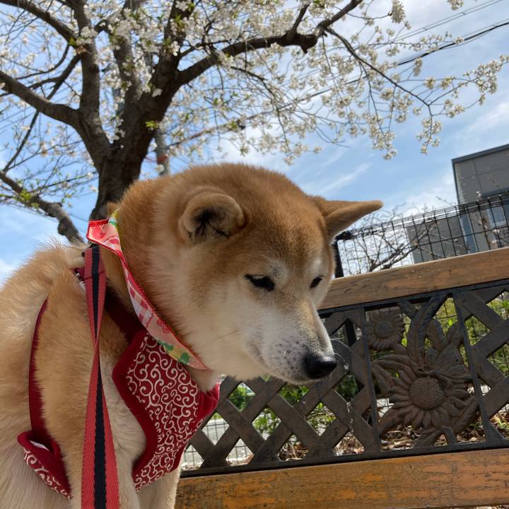 E5c6a659 63fa 4a41 bef6 5fc2f68fa124 1616930973172