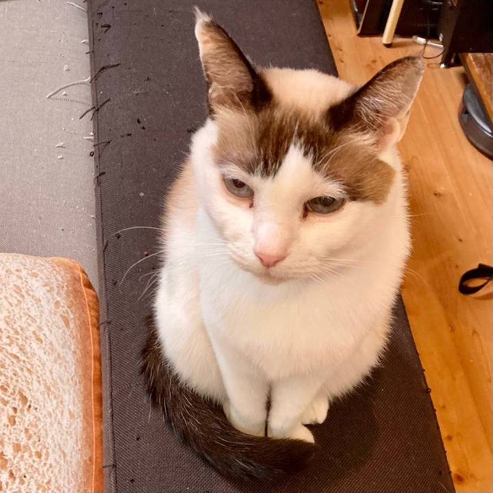 E5c6c77a 9a51 4901 8abc 6e807c31ba8a 1639713885590