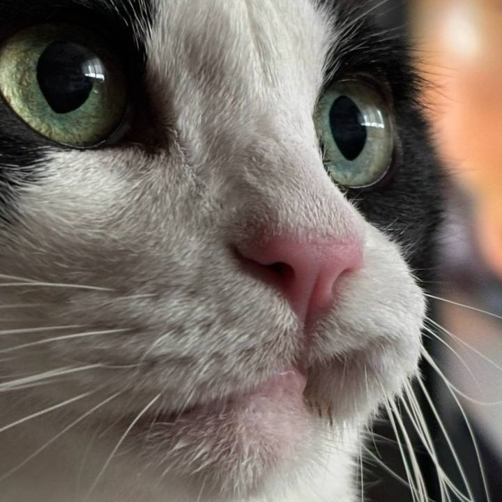 E5c6d4ab 8c7e 442e 8911 73c2653b1c2e 1760943964696