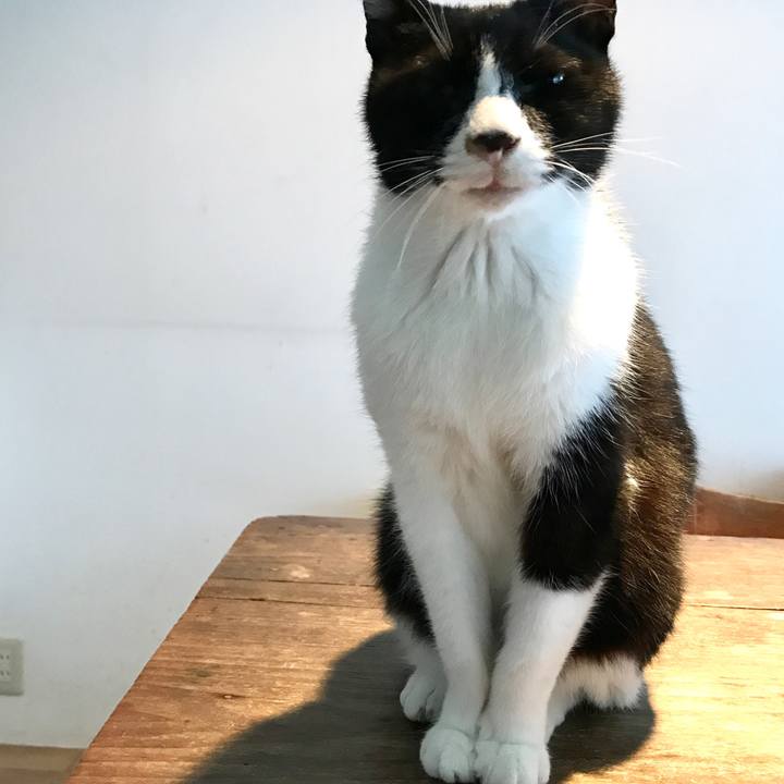 E5c75017 42bd 4eaf 802e 7a9d7cfcd561 1509164111592