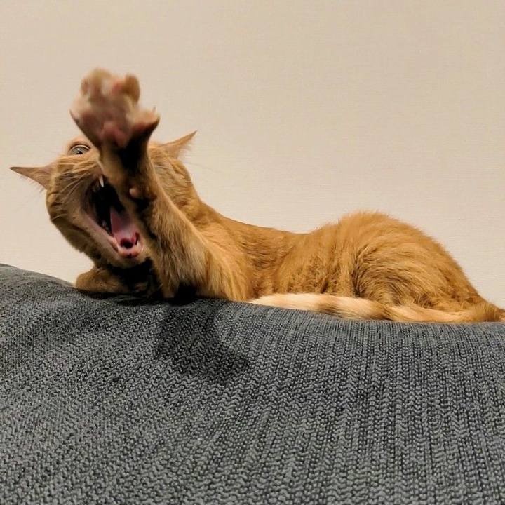 E5c7590c 683e 4ab3 a03d a06a1aed77aa 1665400444595