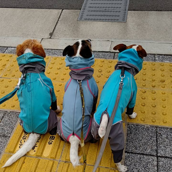 E5c78669 03bc 4b67 939b af65a91245bf 1685762587797