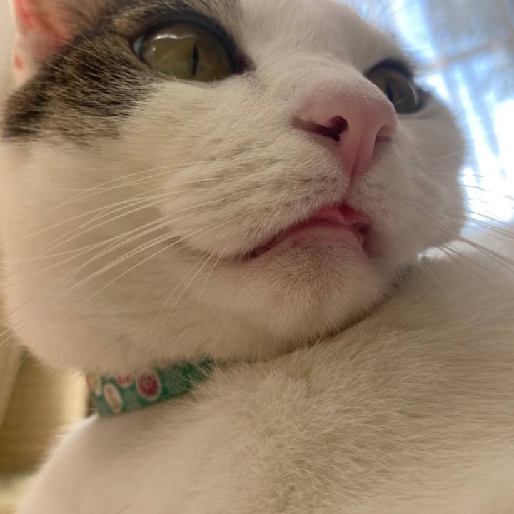 E5c78bd1 cc13 4aa6 bb3b f5a7bb4762fe 1639224623257