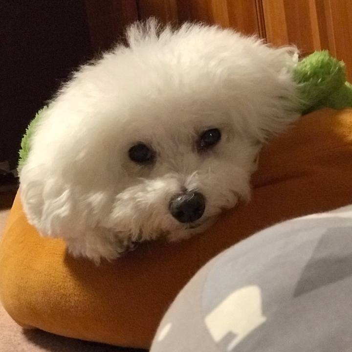 E5c7f665 ad3b 4cb8 ad50 16723a1308b7 1598617983478