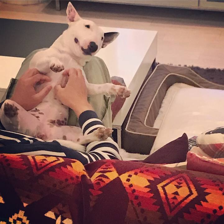 E5c80021 88db 4519 b98a 4f84f984da09 1521207604392