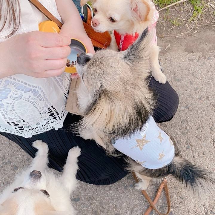 E5c81b3b 9fd1 4138 90d5 c9d18b0cffd3 1619078118011