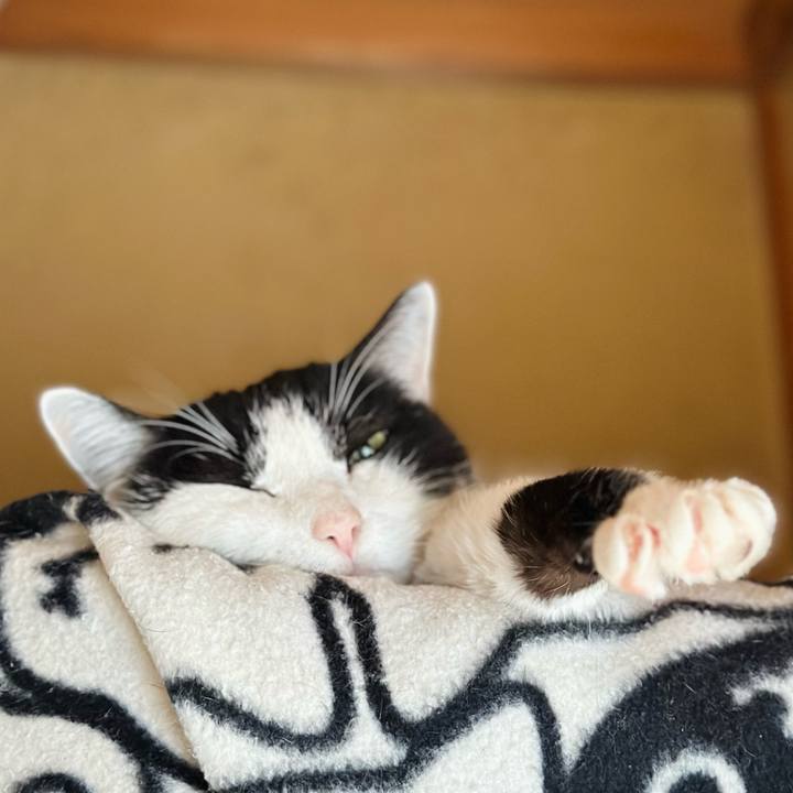 E5c81d6a f0f0 483b 952e 3dec9f7a178a 1709257908834