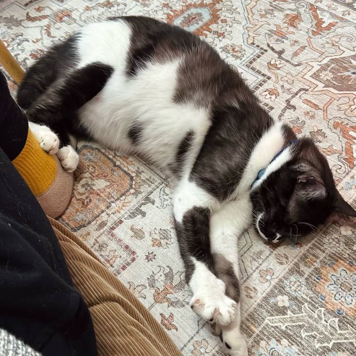 E5c83485 c108 4925 94ba 27982db6ff9e 1773794562204