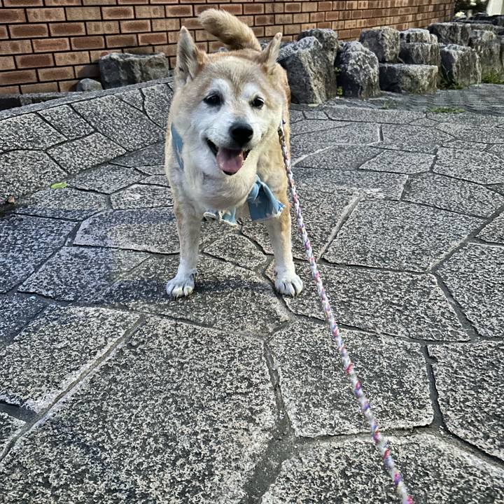 E5c840a5 90d9 4164 8c73 b80a78031763 1753008846260