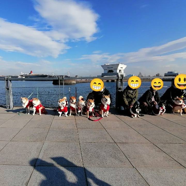 E5c864d1 450c 4ced a08b bb4e754de482 1639362297253