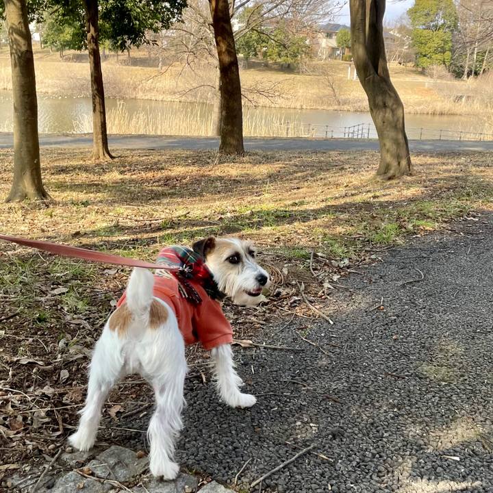 E5c86706 2301 4a13 92e4 e63d07c72000 1646203734264