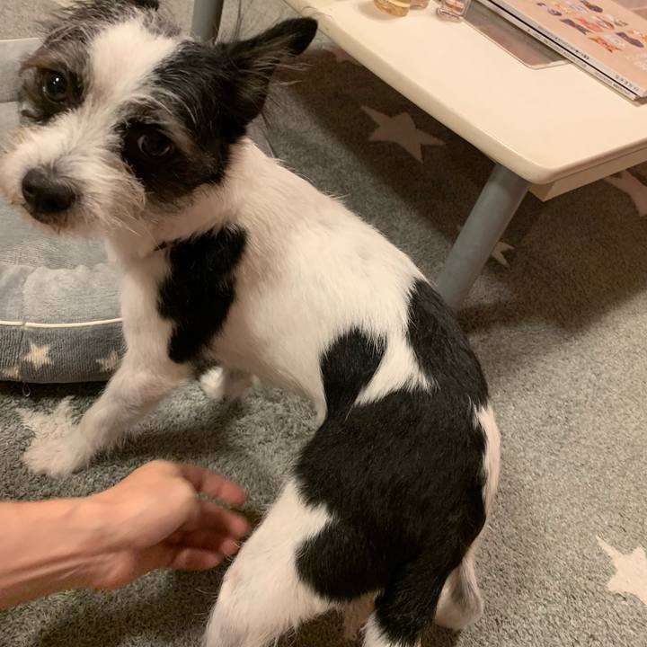 E5c8b2ea caad 43cf 92b4 1c1705226bed 1638002040833