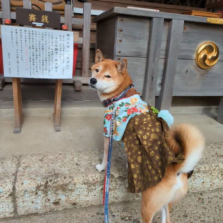 E5c8b3fa 977b 4a91 9a83 253ec988a6e3 1704641914970