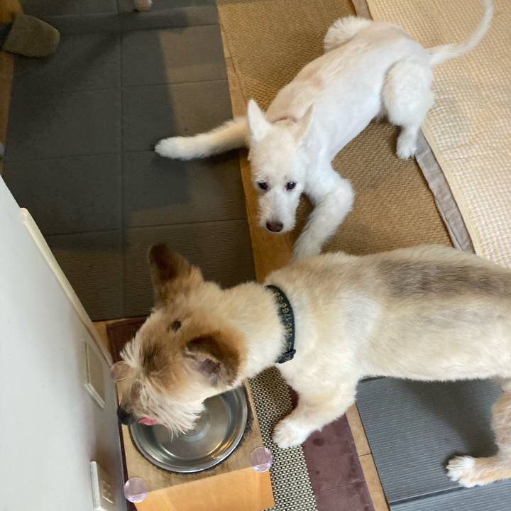 E5c8bdca e514 4a76 a883 09ff7ec9def7 1763530767288