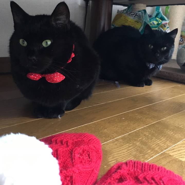 E5c8d2d9 76f9 45c1 b93d 9f8194251a9f 1545626059731