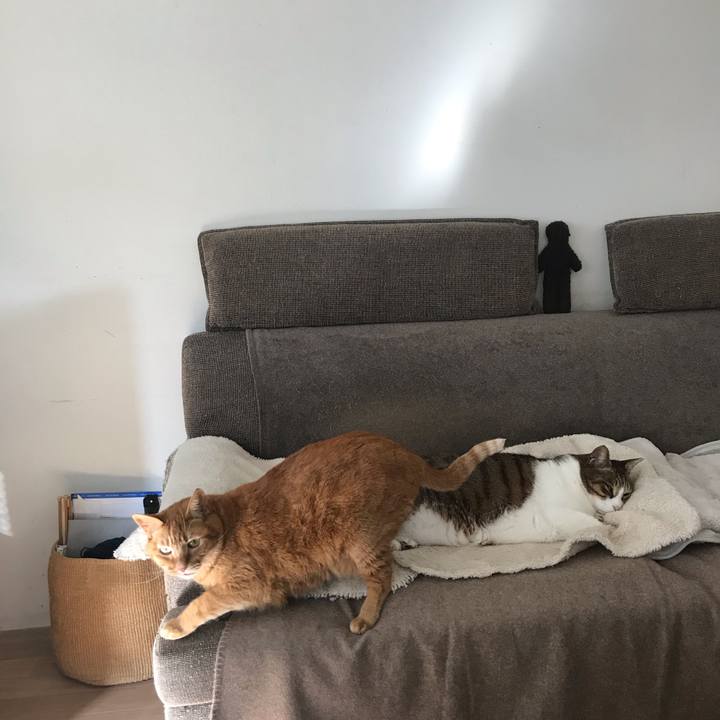 E5c8da28 fa29 4c50 a809 3ccd0388a166 1616024511631