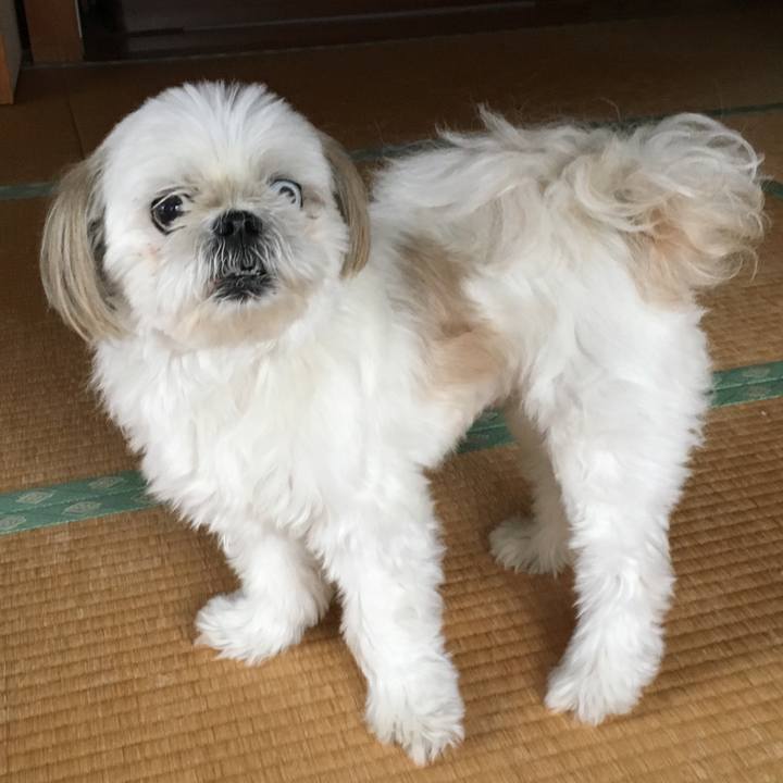 E5c8e313 8351 4847 b907 bb72c47e7bb4 1536404837125