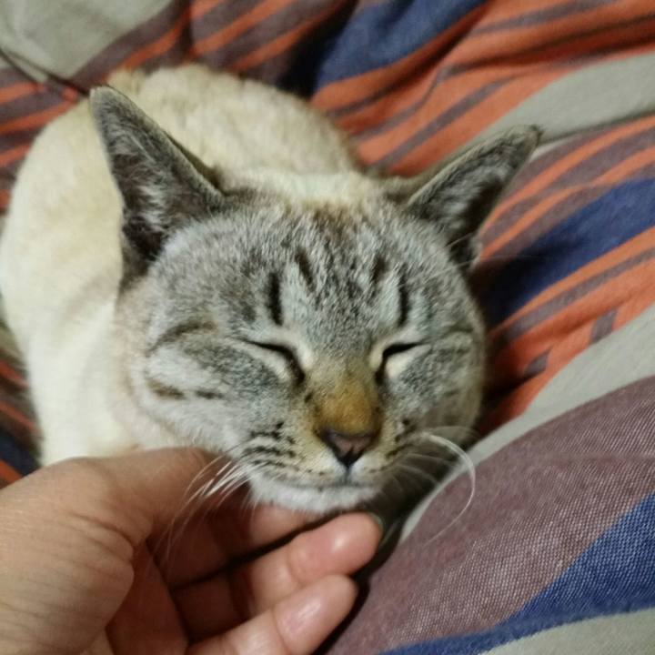 E5c8ee7d 891c 4abf b9ff 9092bcb6530b 1520776676856