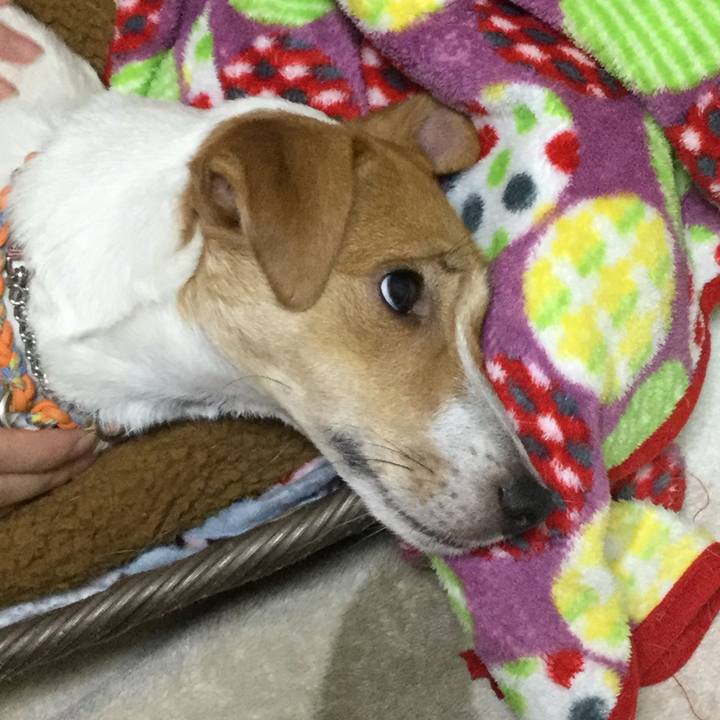 E5c90fb8 1a1e 4561 84e5 5ca468a234a9 1509536404071