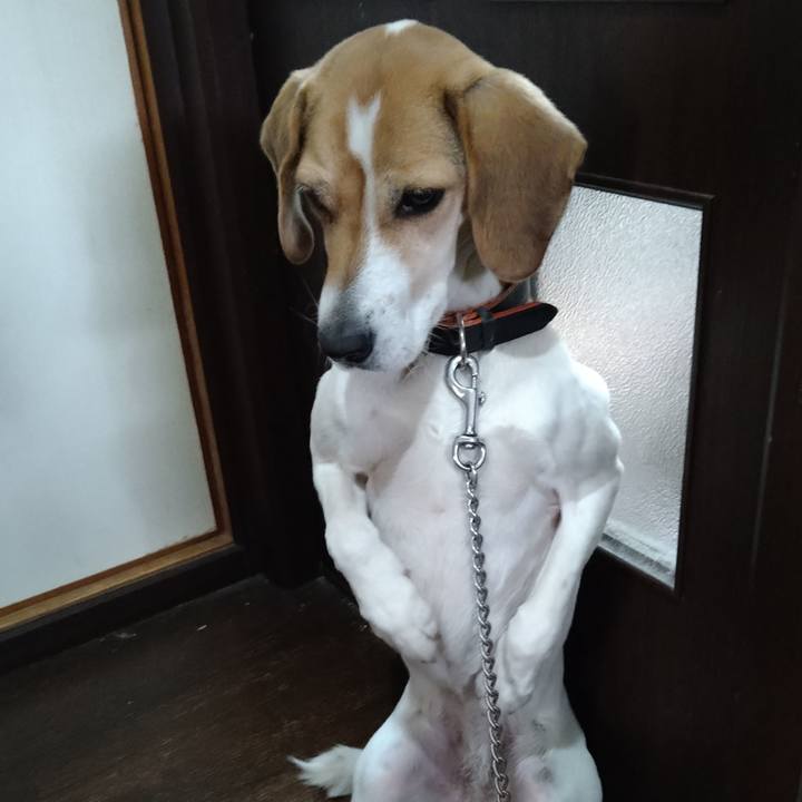 E5c92d6b 3dae 4fd3 b0a9 c75eff8ddff3 1644236397686