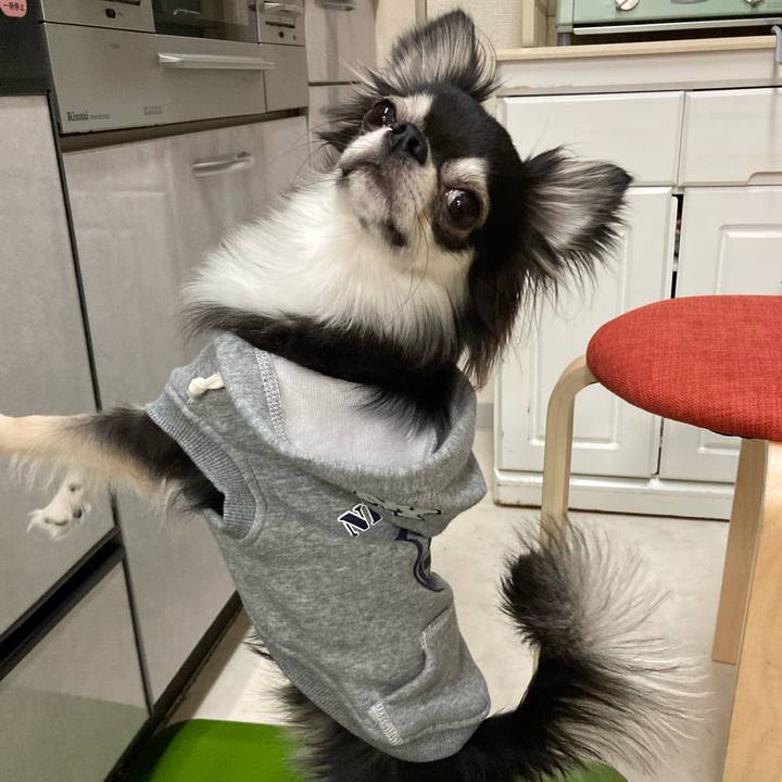 E5c95dd6 c1da 4e37 83e6 ab8bbfdde793 1642862400083