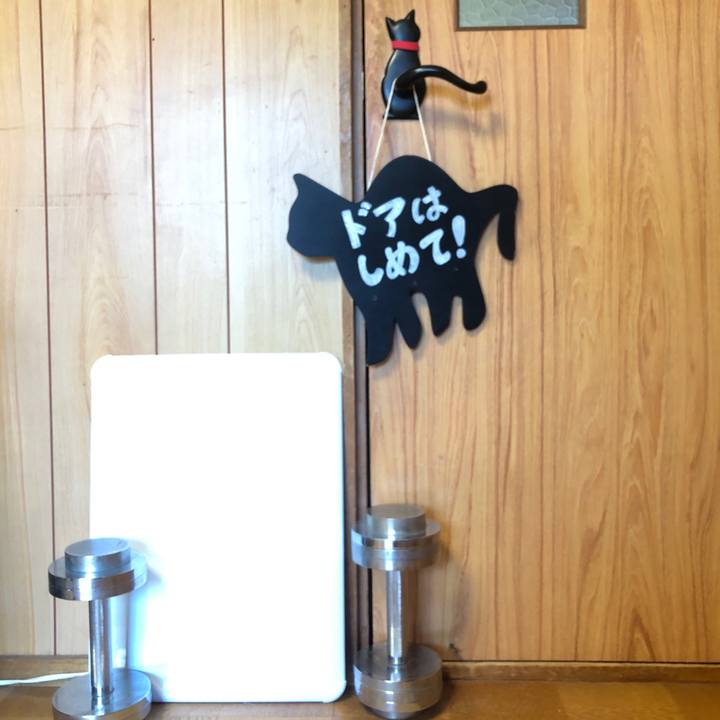 E5c966cf f767 44dd b484 8d91a02e015e 1728794569516