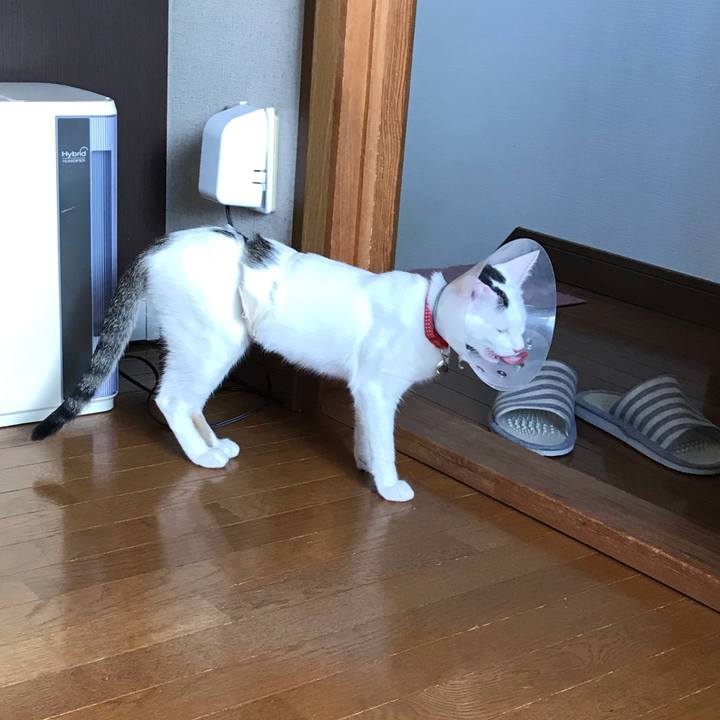 E5c96daf 463f 46f4 a012 14b3de651db4 1570931049361