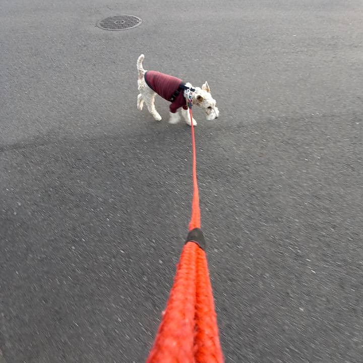 E5c9835c e590 4a6f 8610 fdf3661f62de 1605046232407