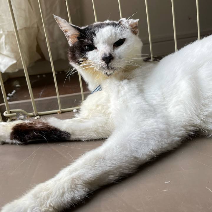 E5c9c6f2 9b0d 4827 b999 f074b531da30 1714456635897