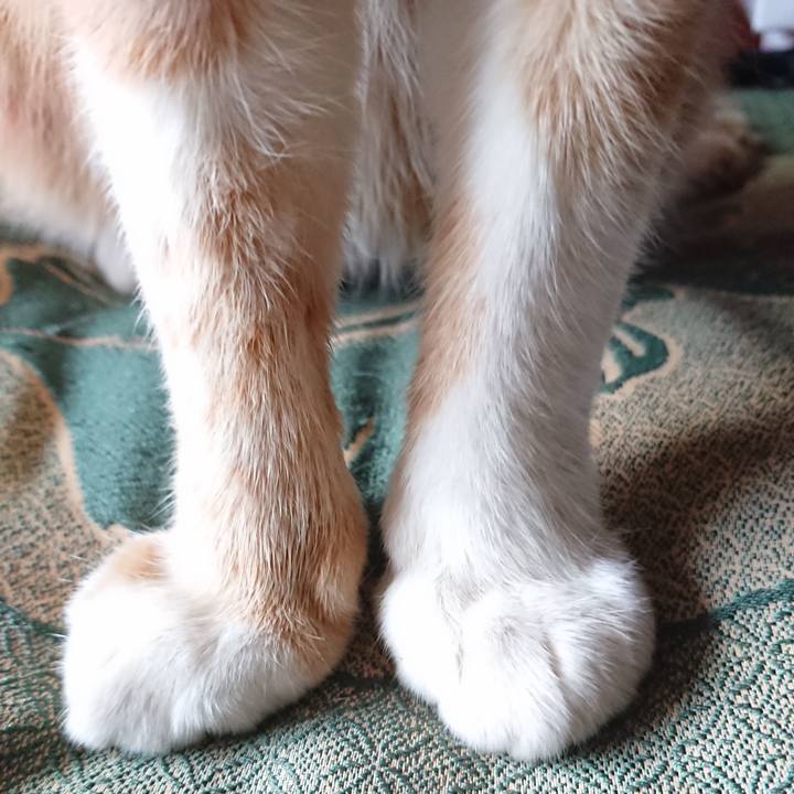 E5c9e80a c2d2 4658 bff1 9e5b601448b9 1566721116368