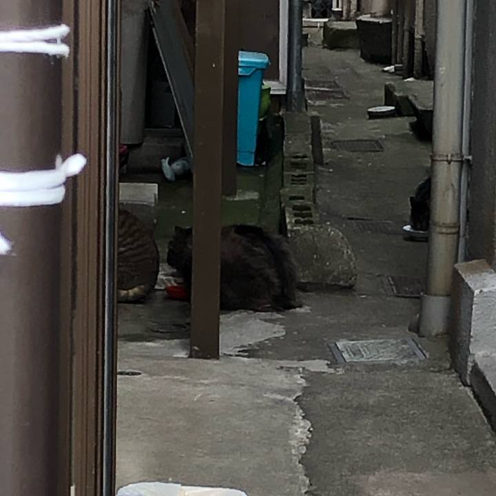 E5c9fd0a 7cee 42e4 a791 97c428fb1733 1555086024031