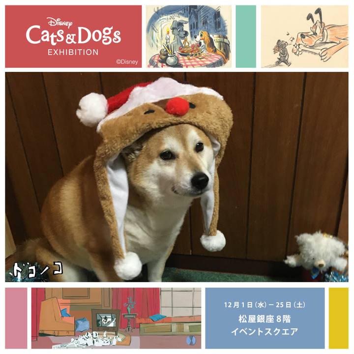 E5ca1083 c71d 43be 9903 530672086e78 1638326133531