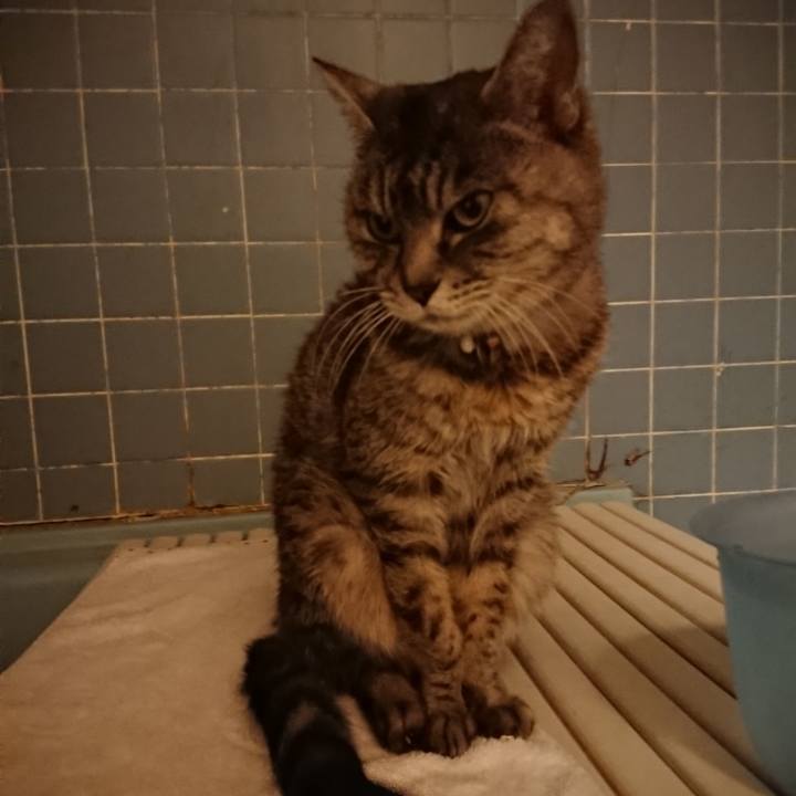 E5ca3933 fa6d 4ffb 8204 cc5a9debd948 1579943189852