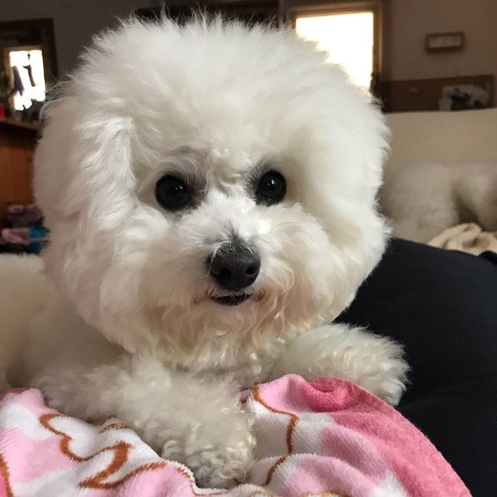 E5ca580b f793 4487 a6ad 2b70dd32e0c7 1586669463234