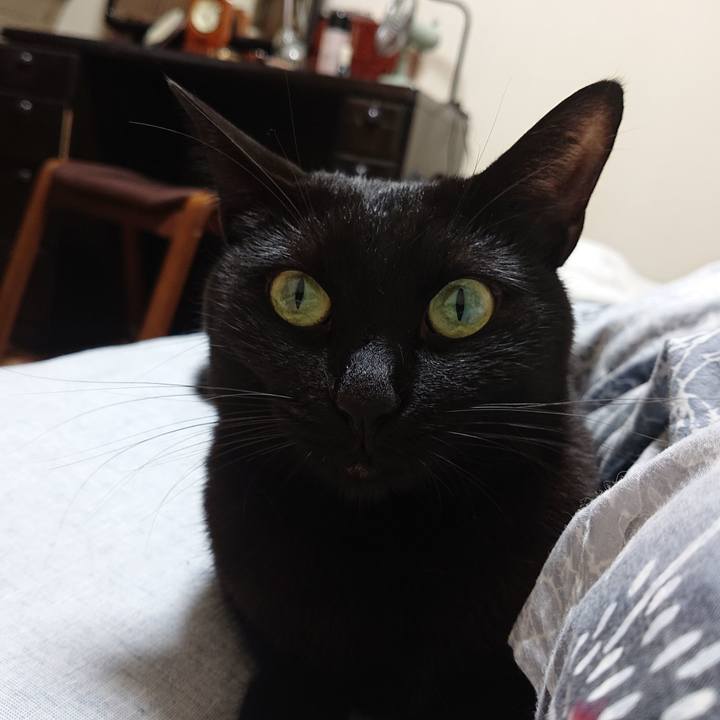 E5ca8229 03d2 4459 9d4f ccf840e54e8e 1663626957792