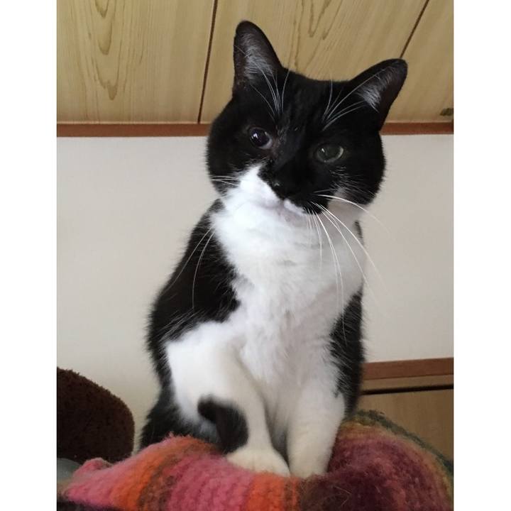 E5ca83f4 4d1c 419d a565 91e290208b1c 1511696458854