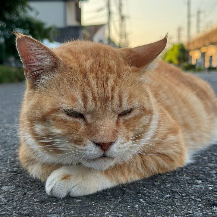 E5ca85a1 56d6 4729 a0ab 07966d490347 1755216155919