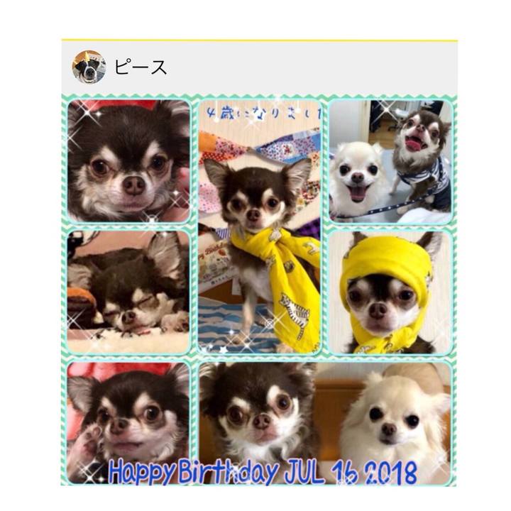 E5caac60 7bda 4621 beab c94fc1697b52 1531707475625