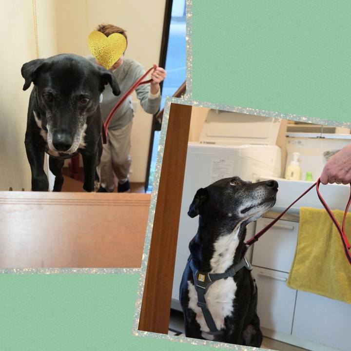 E5caae0b b71c 42e9 8b4d 2d8deb16de1a 1768050108057