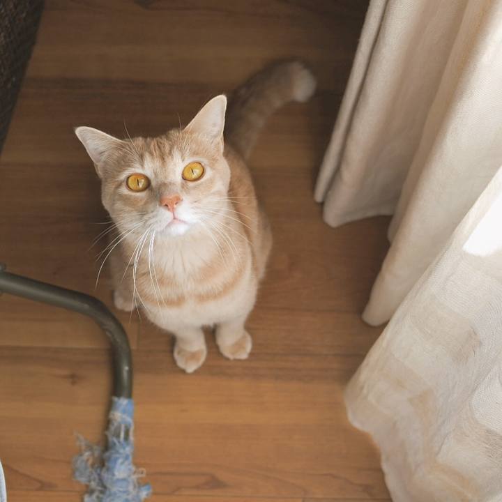 E5cada2f d18d 4d13 a5a6 84a3272d0dc9 1605935309484