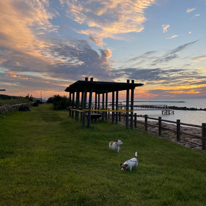 E5cb24a9 58b7 4d10 b7db 6ad1add3ea7e 1663408998547