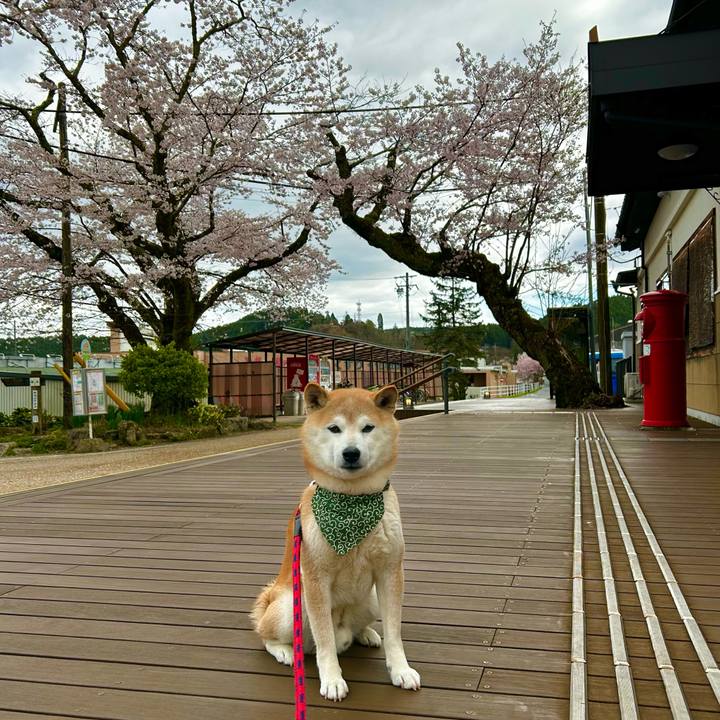 E5cb48ea 17c6 444c a913 c6c0bf8b01cd 1712653452944