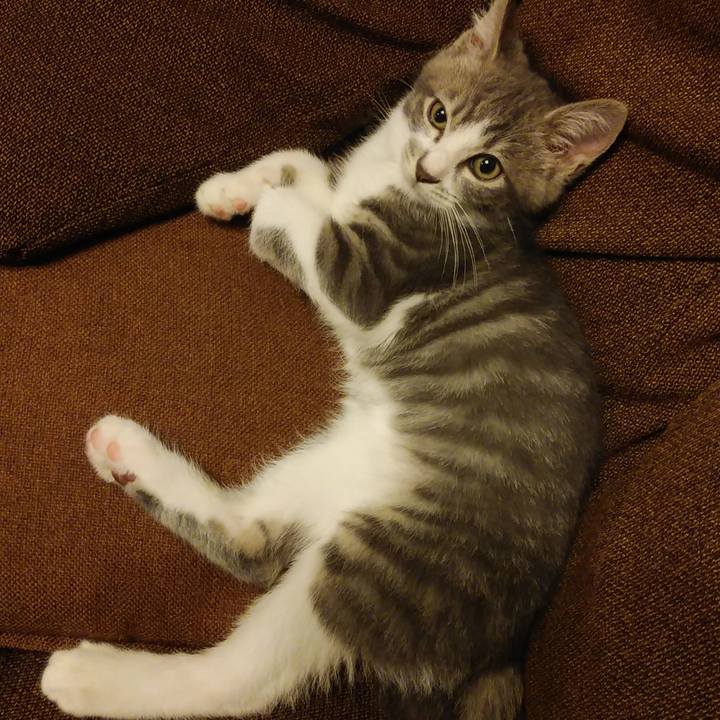 E5cbb297 e175 4765 99db 090e35afff46 1562803504256