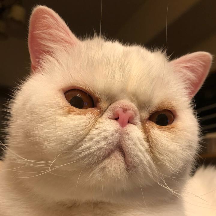 E5cbd9fb 6d67 48d1 9bdb 6fa1231184cb 1649503353743