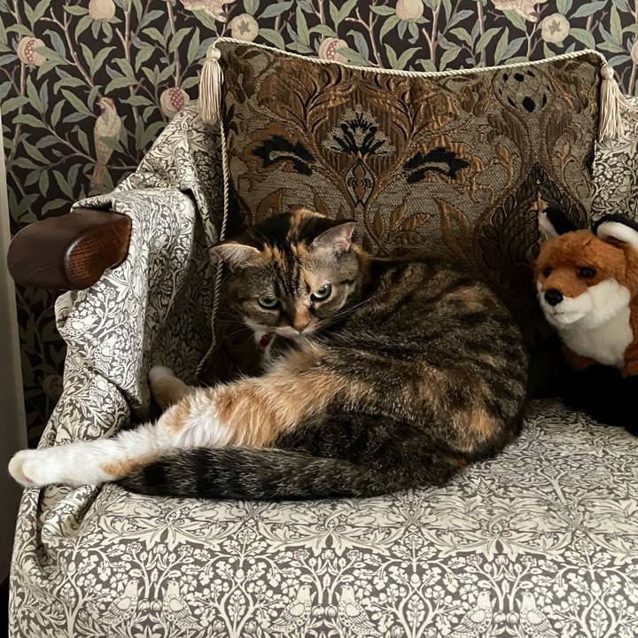 E5cbf0fb 89d8 498a 9d27 f4e9814ea451 1759477800282