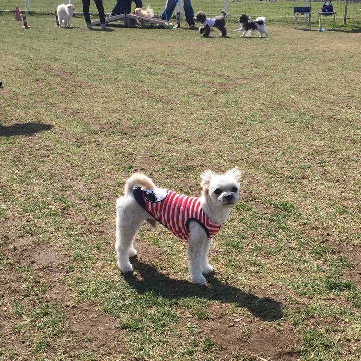 E5cc0bcf 99b3 4ef9 8949 fc826857d3c9 1520149459534