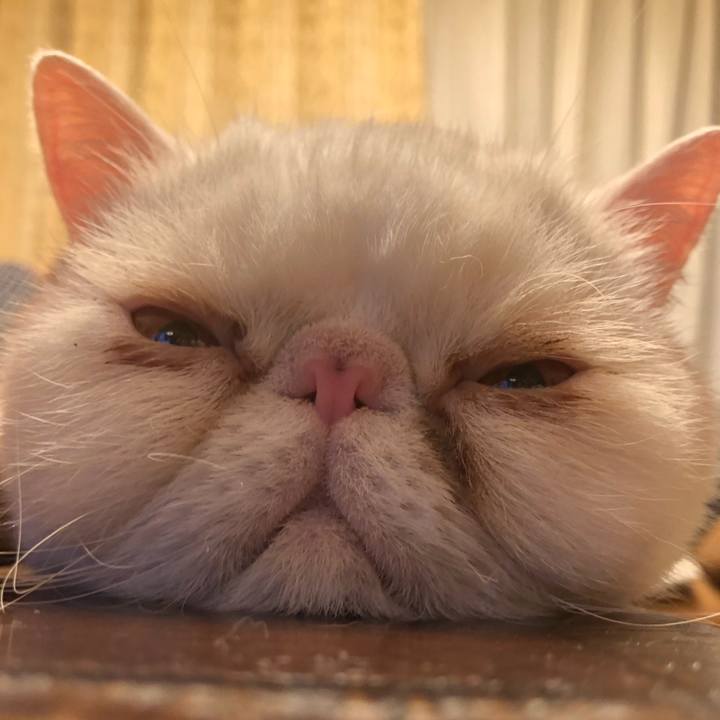 E5cc2707 4ecf 4a09 8c06 625ee7ffbd81 1656332357198