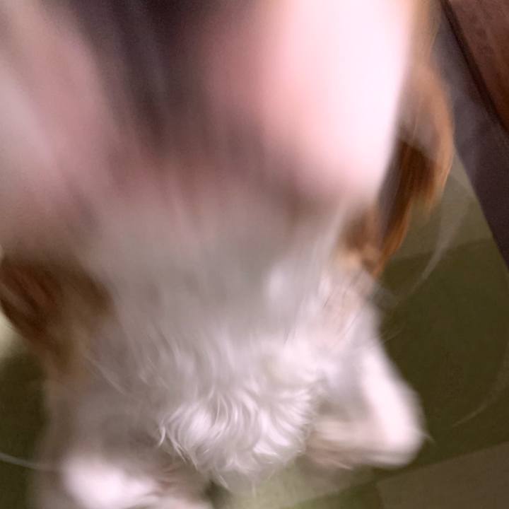 E5cc2d07 e182 4e2e a792 f287469ed629 1569154633059