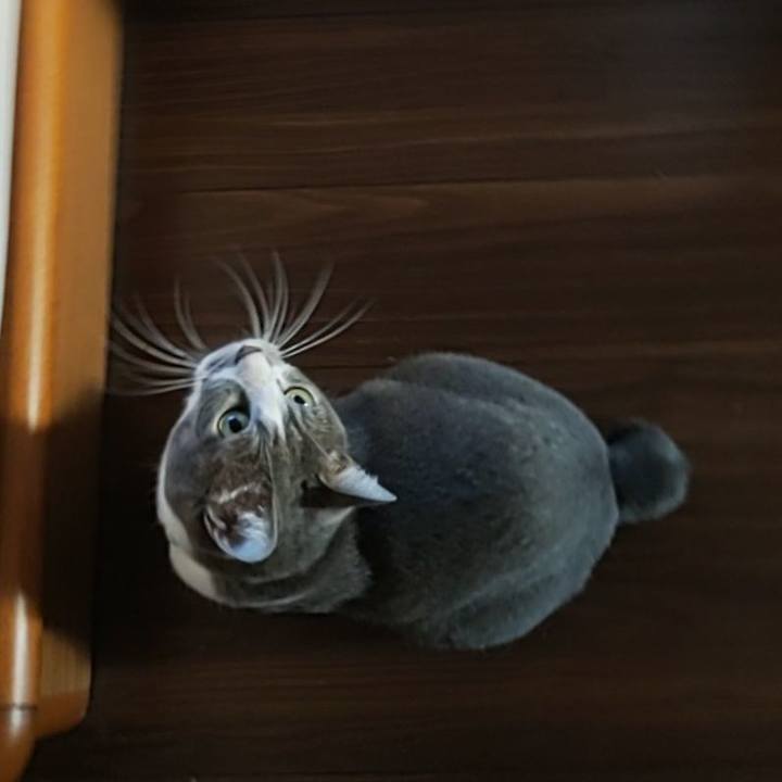 E5cc5b4d e1c2 423d be1d 63ffde262bd1 1666220382507